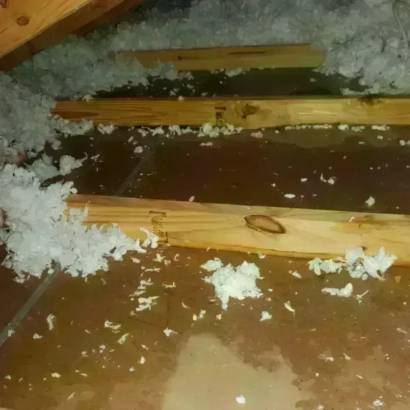 Attic Water Damage in Lorton, VA