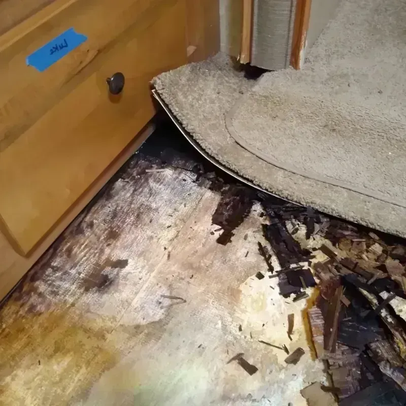 Best Wood Floor Water Damage Service in Lorton, VA